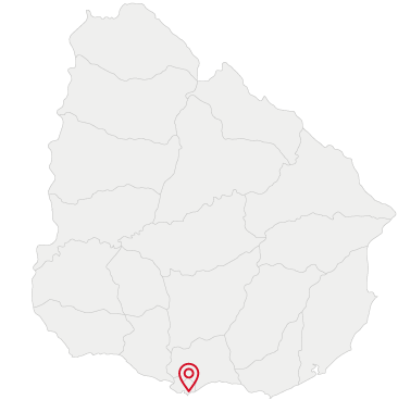 Imagem Mapa
